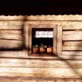Drewno – surowiec w stylu rustykalnym